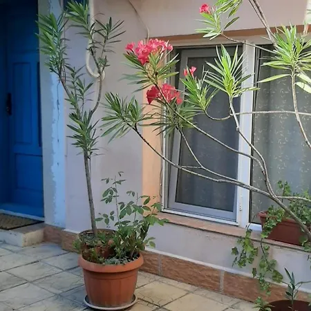 Ground Floor Summer House Апартаменты Варна
